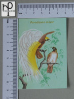 CALENDARS  - BIRDS OF PARADISE - 2024 - 2 SCANS  - (Nº58790) - Formato Piccolo : 2001-...