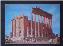 SYRIE سوريا SYRIA POSTCARD PALMIRA TEMPLE DE BEL CELLA - Syria