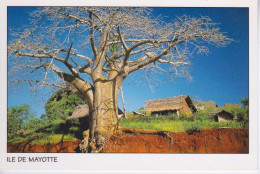 ILE DE MAYOTTE - UN BAOBAB ET LES CASES EN PAILLE - Mayotte