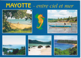 ILE DE MAYOTTE - ENTRE CIEL ET MER  - HIPPOCAMPE - Mayotte