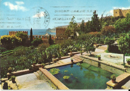 *CPM -  ESPAGNE - ANDALOUSIE - ALMERIA - Jardin De La Forteresse - Almería