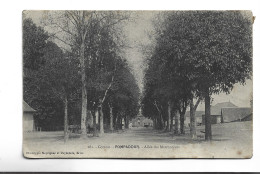 CPA DPT  19 POMPADOUR , ALEE DES MARRONNIERS En 1905! - Arnac Pompadour