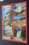 Souvenir De Bormes-les-Mimosas - Les Editions Aris - # C 1213 - Bormes-les-Mimosas