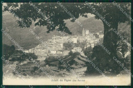 Imperia Pigna Val Nervia Cartolina MT3591 - Imperia