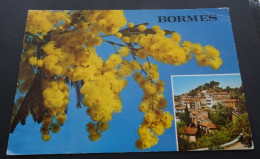 Bormes-les-Mimosas - 1e Village Fleuri De France - Vue Générale - Editions SIMBA, Le Cannet - Bormes-les-Mimosas