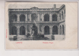 LORETO  ANCONA  PIAZZA REGIO   VG  1903 - Ancona