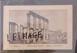 SYRIE PALMYRA COLONNADE DU TRIONPHE POSTCARD NEW 1930 PRINT PRODUCED BY SARRAFIAN BROS BEIRUT (COLLECTOR'S) #1/148 - Siria