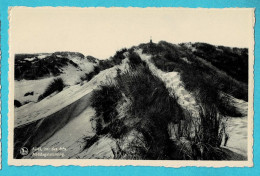 * Knokke Zoute - Knocke Le Zoute (Kust - Littoral) * (Nels, Série Plage, Nr 1) Midi Roi Des étés, Dunes, Plage, Beach - Knokke