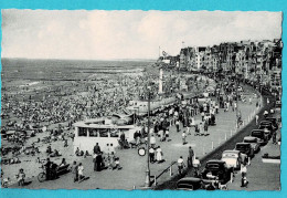 * Knokke Zoute - Knocke Le Zoute (Kust - Littoral) * (Nels, Ern Thill, Nr 75) Zeedijk, La Digue, The Front, Animée Plage - Knokke