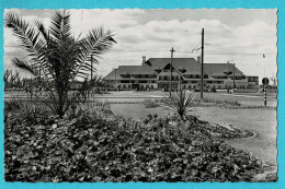 * Knokke - Knocke (Kust - Littoral) * (Fotoprim, Nr 235) Albert Plage, Hotel Restaurant La Réserve, Old, Rare - Knokke