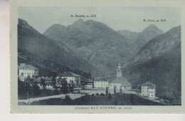 CADORE SAN PIETRO  BELLUNO   NO VG - Belluno