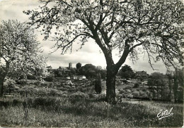 78 - Neauphle Le Château - La Campagne - CPSM Grand Format - Voir Scans Recto-Verso - Neauphle Le Chateau