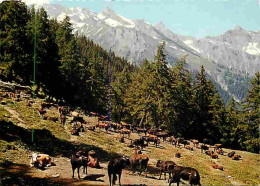 Animaux - Vaches - Suisse - Alpages D'Ovronnaz - Carte Neuve - CPM - Voir Scans Recto-Verso - Cows