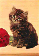 Animaux - Chats - Chatons - Portrait - CPM - Voir Scans Recto-Verso - Chats