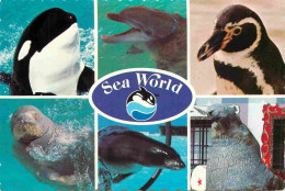 Animaux - Sea World - Multivues - Oceanarium - Voir Scans Recto-Verso - Schildpadden