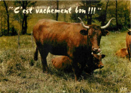 Animaux - Vaches - Carte à Message Humoristique - CPM - Voir Scans Recto-Verso - Cows
