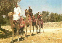 Animaux - Camélidés - Cavaliers De Chameaux - Travellers On Their Camels - Kamelreiter - CPM - Carte Neuve - Voir Scans  - Autres & Non Classés