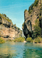 48 - Les Gorges Du Tarn - CPM - Voir Scans Recto-Verso - Gorges Du Tarn