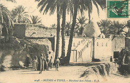 Scènes Et Types - Afrique Du Nord - Marabout Dans L'Oasis - Animée - CPA - Voyagée En 1914 - Voir Scans Recto-Verso - Afrique
