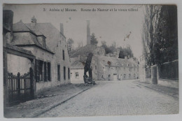 A VOIR!  ANHEE Prés De Yvoir Et Warnant. .Route De Namur Et Le Vieux Tilleul. Edit: N. Laflotte N°3. Postée 1913 - Anhée