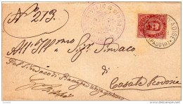 1893 LETTERA CON ANNULLO PIACENZA D'ADIGE PADOVA - Storia Postale