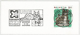 Schweiz / Helvetia 1990, Flaggenstempel USFS Tenero, Katze / Chat / Cat - Gatti