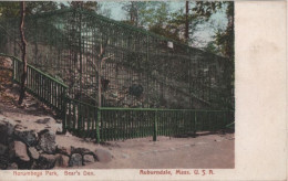 94769 - USA - Auburndale - Norumbega Park, Bear Den - Ca. 1920 - Autres