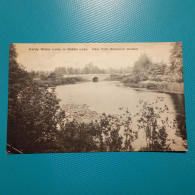 Hardy Water Lilies In Middle Lake - New York Botanical Garden. - Andere & Zonder Classificatie