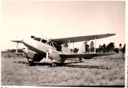 Aviation - Photo Ancienne - Avion DE HAVILLAND DH 89 M - Plane - 8x11,5 Cm - 1946-....: Modern Era