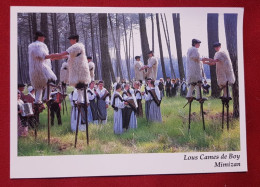 CPM -  Groupe Folklorique - Echassiers Landais - Mimizan - " Lous Cames De Boy " - Mimizan Plage