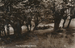 PC42028 The Forest. High Beech. 1916. B. Hopkins - Monde