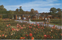 PC43981 Fort Rose Gardens. Southsea. No PT2882. 1965 - Monde