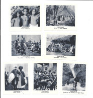 KB1530 - VIGNETTES CAMEROUN - Andere & Zonder Classificatie