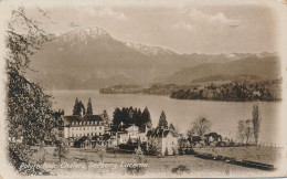 PC42708 Polytechnic Chalets. Seeburg. Lucerne. 1920 - World