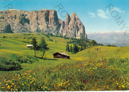 CARTOLINA  C6 ALPE DI SIUSI,BOLZANO,TRENTINO ALTO ADIGE-LO SCILIAR M.2564-MONTAGNA,VACANZA,BELLA ITALIA,VIAGGIATA 1966 - Bolzano (Bozen)