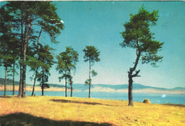 BATAK, DAM, LANDSCAPE, BULGARIA, POSTCARD - Bulgarie