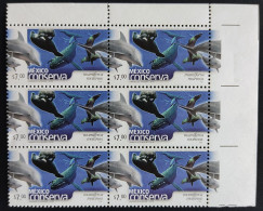 MEXICO 2005 $7 SEA MAMMALS Blk. 6, One With Blue Line Below Whale Flaw, Rare Ptg. Var. MNH Unm. - Messico