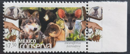 MEXICO 2005 $7.50 LAND MAMMALS Scott Cat. 2426a, Light Gray Text & Microprint, Very Rare Error MNH Unm. - Messico