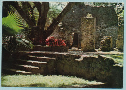 MARTINIQUE - Sainte-Marie - Fonds St-Jacques : Le Moulin - Autres & Non Classés