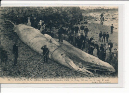 ROSCOFF : La Baleine échouée En Décembre 1904 - Très Bon état - Roscoff