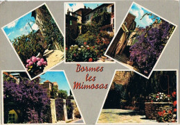 CPM..83..BORMES LES MIMOSAS..MULTIVUES - Bormes-les-Mimosas