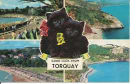 PC43973 Good Luck From Torquay. Multi View. No PLC2065. 1970 - World