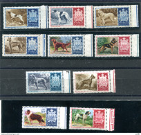Cani Di Razza Serie Completa B. Di F. Di Ottima Qualità - Unused Stamps