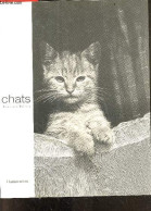 Les Chats - Textes & Poemes - Catherine Laulhère-Vigneau - 2000 - Otros & Sin Clasificación