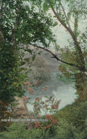 PC42743 Scene On Brunnett River. New Westminster B. C. Valentine - Mundo