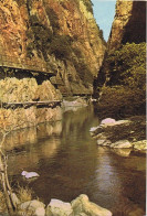 CPM..66..AMELIE LES BAINS..GROTTES DU MONDONY. - Amélie-les-Bains-Palalda