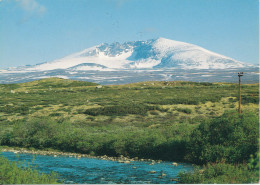 Norway Postcard Sent To Denmark Folldal 27-7-1983 View From Dovrefjell Mountain Plateau - Noruega