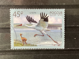 Russia / Rusland - Birds (45) 2019 - Used Stamps