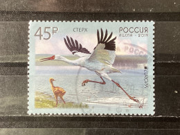 Delcampe - Russia / Rusland - Birds (45) 2019 - Gebraucht