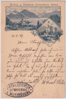 Gelaufen 1897 - Hotel & Pension Schonegg, Spiez  - Mit Hotelstempel "Hotel Pension Schonegg  A. Mützenberg" Nach Thun - Spiez